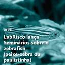 Banner-labrisco-bq.png