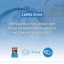 Capes PrInt UFPB - Doutorado Sanduíche no Exterior